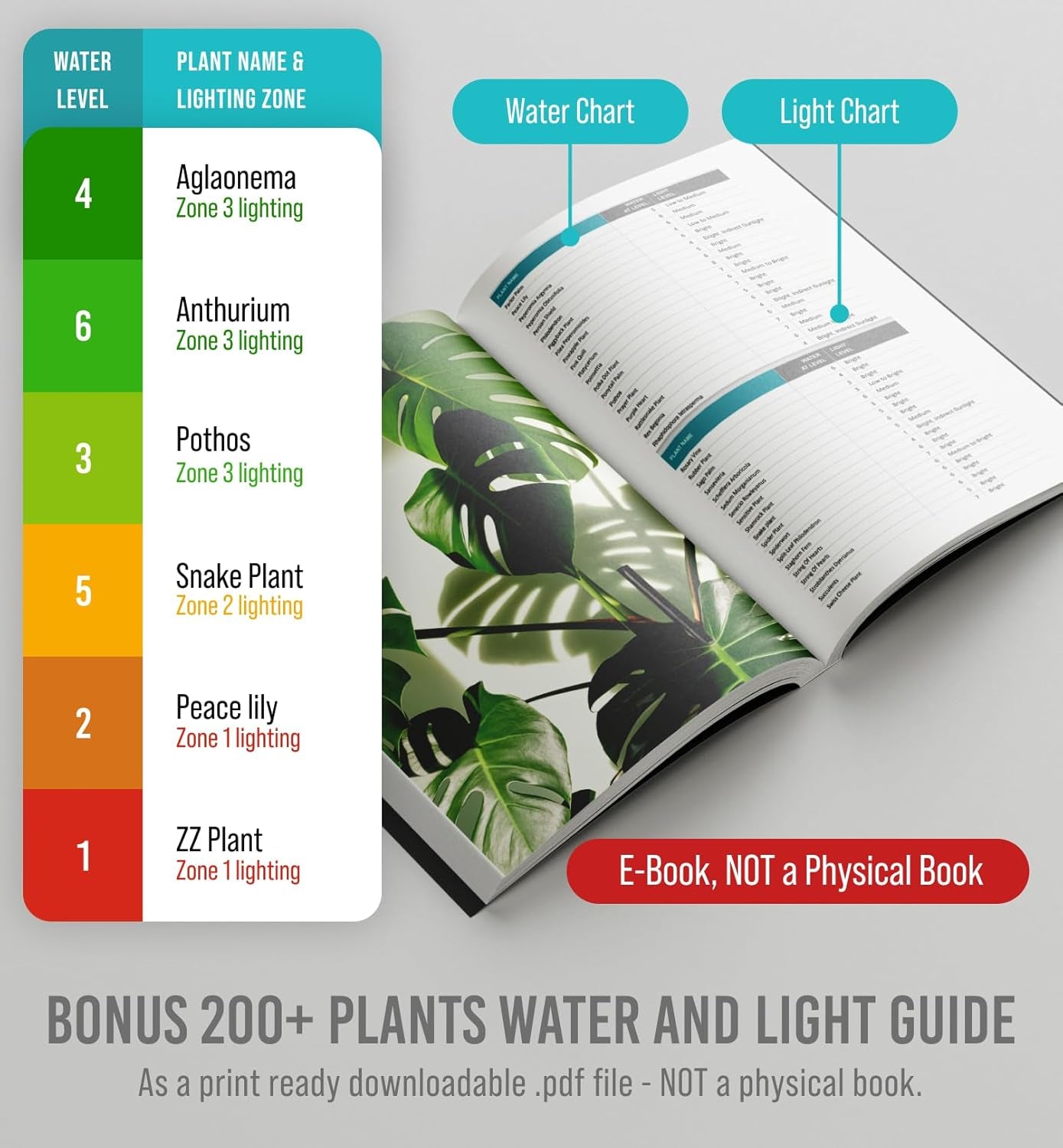 GROWIT Plant Moisture Meter - Accurately Tells You When to Water Your Plants - 26Cm, No Battery Needed