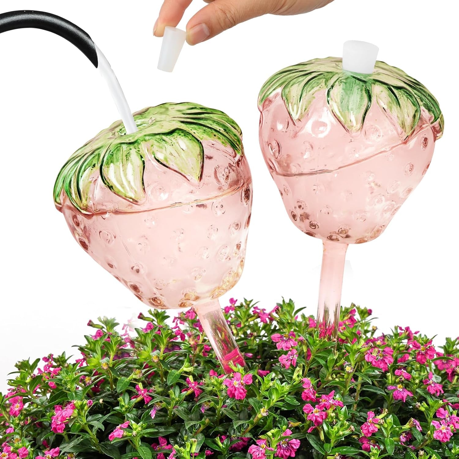 Strawberry Plant Watering Globes Set of 2, Large Water Bulbs for Indoor Plants, Glass Self Watering Planter Insert, Top-Fill Watering Globes for Indoor Outdoor Plants