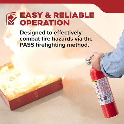 , FA110G, Multi Purpose Fire Extinguisher for Home, Office, Dorm, Residential, 1A10BC