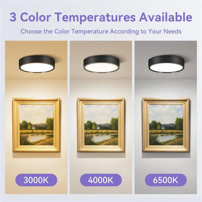 Led Downlight 220V Down Lights Surface Mounted 3/5/10/15/25W Ceiling Lamp For Indoor Living Room Bedroom Kitchen Lighting