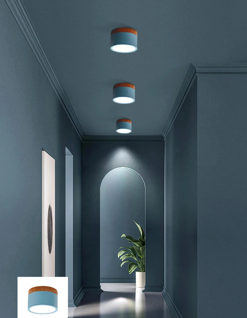 LED Downlight dimmable 5W 7W 9W12W15W Nordic wood modern Led surface mounted ceiling light spotlight, interior decoration light