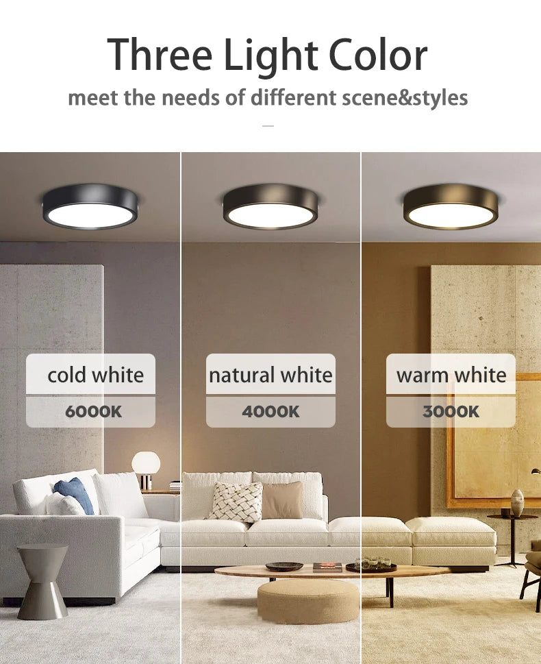 Led Downlight 220V Down Lights Surface Mounted 3/5/10/15/25W Ceiling Lamp For Indoor Living Room Bedroom Kitchen Lighting