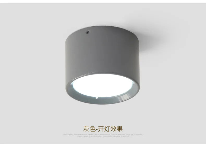 220V Downlight, Wooden Ceiling Lamp, Indoor Decor Lamps, Room Lighting, Living Room Corridor LED Down Lights for Street Bedroom