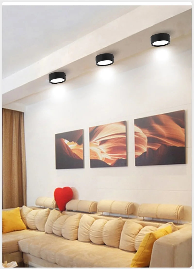 Led Downlight 220V Down Lights Surface Mounted 3/5/10/15/25W Ceiling Lamp For Indoor Living Room Bedroom Kitchen Lighting
