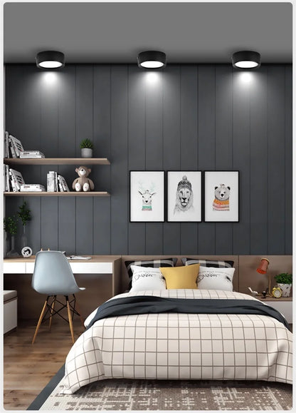 Led Downlight 220V Down Lights Surface Mounted 3/5/10/15/25W Ceiling Lamp For Indoor Living Room Bedroom Kitchen Lighting