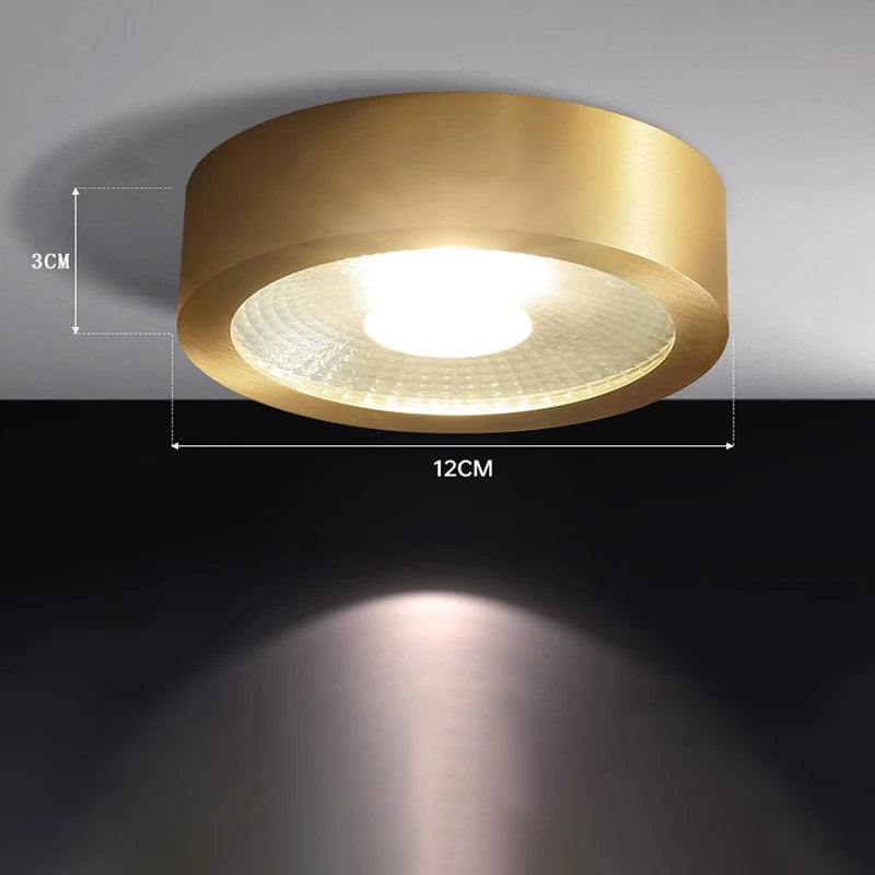 Copper downlights Nordic brief LED ceiling lights corridor lamp foyer balconies living room luxury circular spotlights