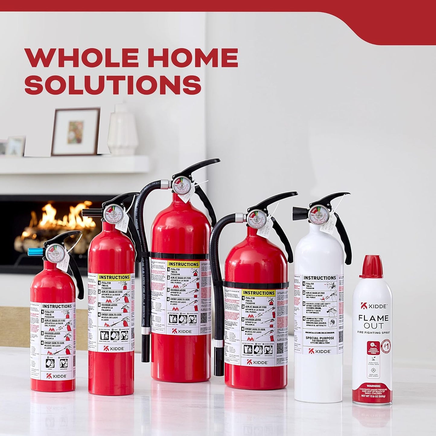 , FA110G, Multi Purpose Fire Extinguisher for Home, Office, Dorm, Residential, 1A10BC